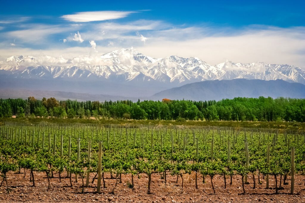 VIAJES DESTINO MENDOZA ARGENTINA